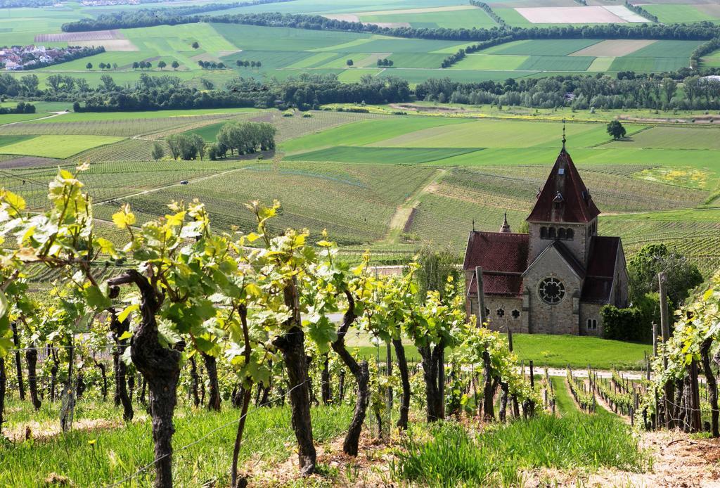 Hofgut Wissberg - Das Weinberghotel Sankt Johann  Kültér fotó